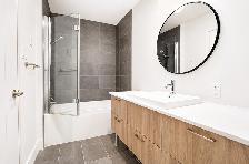 Spacious 2 Bed / 1 Bath Apartment in LaSalle for rent - Photo 6