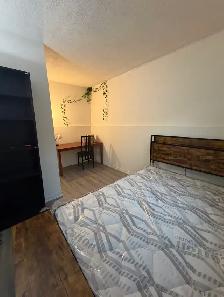 one single room for rent - Photo 2