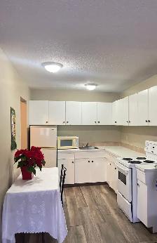 FOR RENT 1 Bd apartment - 11916 105 St Edmonton