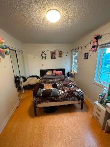 room for rent in brampton