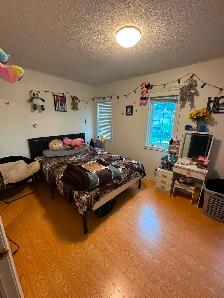room for rent in brampton - Photo 2