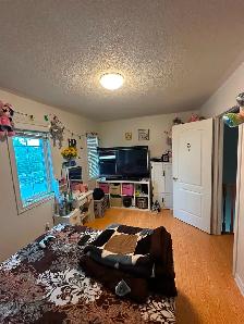 room for rent in brampton - Photo 5