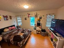 room for rent in brampton - Photo 7