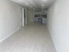 Walkout basement for rent