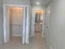 Walkout basement for rent - Photo 7
