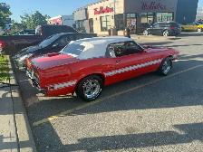 1970 shelby GT 350 - Photo 3