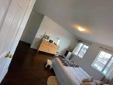 Bachelor Studio-Sized Room For Rent in Milton For Female - Photo 8