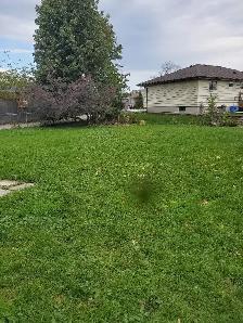 1 bedroom plus den large basement apartment in Collingwood