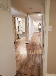 1 bedroom plus den large basement apartment in Collingwood - Photo 3