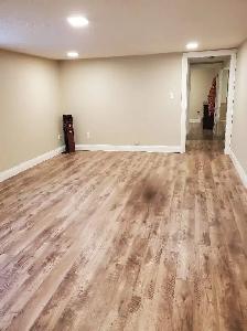 1 bedroom plus den large basement apartment in Collingwood - Photo 5
