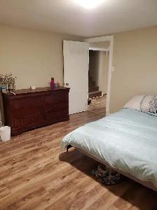 1 bedroom plus den large basement apartment in Collingwood - Photo 6