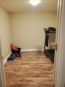 1 bedroom plus den large basement apartment in Collingwood - Photo 8
