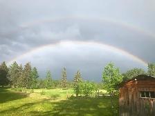 GRAZING LAND - 125 Acres south and west of Rocky Mountain House