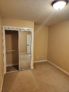 Modern 2 Bedroom Walk Out Basement Suite – West Lethbridge (Near - Photo 3