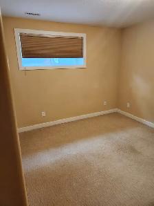 Modern 2 Bedroom Walk Out Basement Suite – West Lethbridge (Near - Photo 4
