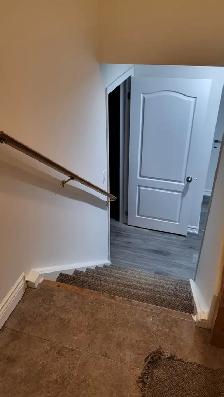 Spacious 1 BHK Basement Apartment Available in Brampton - Photo 2