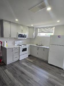 Spacious 1 BHK Basement Apartment Available in Brampton - Photo 3