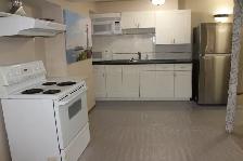 1-Bedroom Basement WALKOUT - Private Entrance - In-Suite Laundry - Photo 2