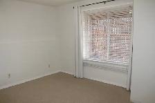 1-Bedroom Basement WALKOUT - Private Entrance - In-Suite Laundry - Photo 4