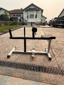 Seated Calf Raise Machine – Home Gym – Langdon - Photo 2
