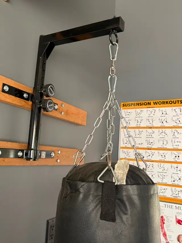 Everlast 50 lb Heavy Bag   Wall Mount – Langdon