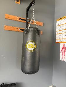 Everlast 50 lb Heavy Bag   Wall Mount – Langdon - Photo 2