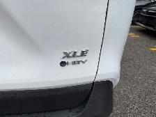 2025 Toyota RAV4 Hybrid XLE AWD, ONE OWNER, ACCIDENT FREE - Photo 7