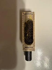 Queen honey  bee ( Ontario )