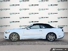 2017 Ford Mustang - Photo 3