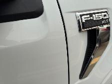 2024 Ford F-150 XLT CREW CAB 4X4 XLT TRIM RUNNING BOARDS - Photo 24