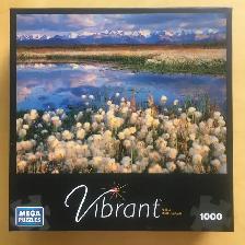 Casse-têtes (10 CT), 1000 pièces (no11) - Photo 8