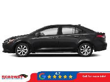 2024 Toyota Corolla - Photo 2