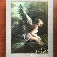 Casse-têtes / Puzzles (10 CT), 1000 pièces (noXIII) - Photo 7