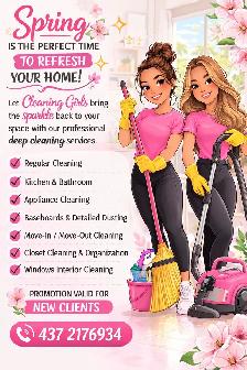 Cleaning Girls Professional Cleaning Services - Photo 3