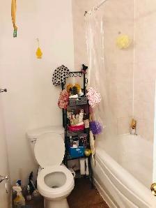 A bedroom for rent @Warden/Finch - Photo 2