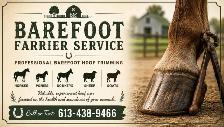 Barefoot Farrier