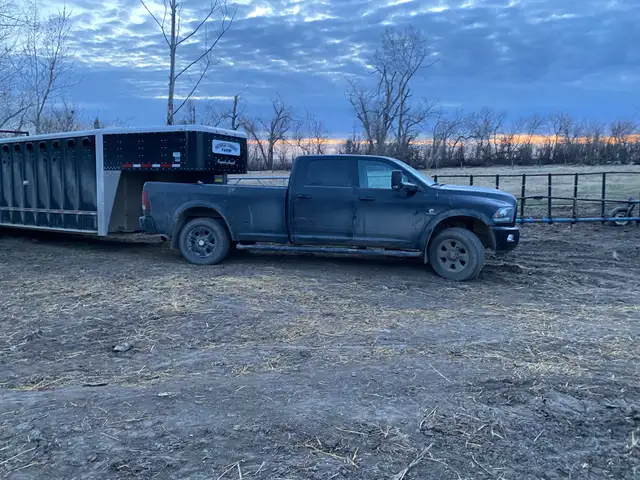livestock hauling