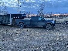 livestock hauling