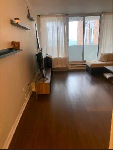 Appartement à louer Gatineau - Photo 3