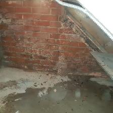 DRAIN SNAKE SUMP ISSUE BACK WATER VALVE SUBSIDY ROUGH IN WASHROM - Photo 6