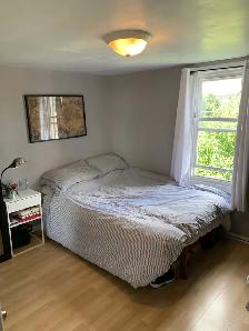3 Bedroom   1 Bath - Home For Lease Dupont and Ossington - Photo 11
