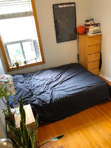 3 Bedroom   1 Bath - Home For Lease Dupont and Ossington - Photo 20