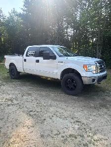 2010 F-150 Crew - Photo 4