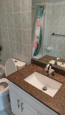 One bedroom Room for rent in Two Bedroom Basement - Photo 8