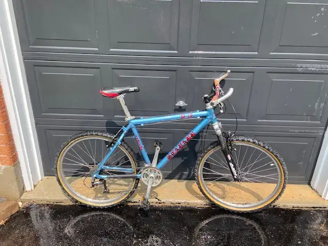 Mountain Bike, 20 inches, $150