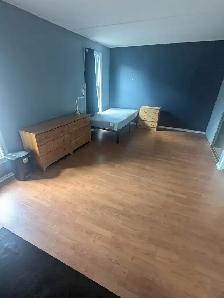 4 min to Algonquin. Woodroffe/Majestic, all inclusive. - Photo 3