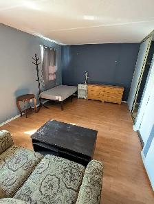 4 min to Algonquin. Woodroffe/Majestic, all inclusive. - Photo 4