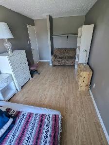 4 min to Algonquin. Woodroffe/Majestic, all inclusive. - Photo 9