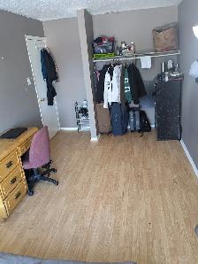 4 min to Algonquin. Woodroffe/Majestic, all inclusive. - Photo 10