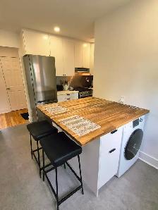 3 1/2 100 % meublé à louer – Ahuntsic / rue Fleury – A/C central - Photo 2